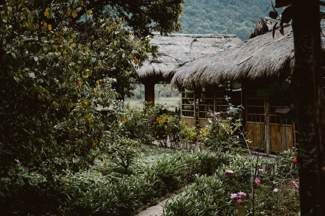 Cat Cat Village traditional houses in Sapa mountains