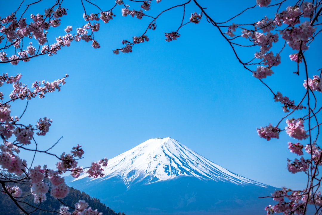 Mount Fuji Scenic View