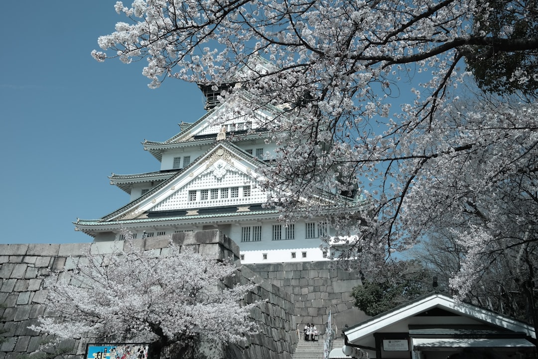 Osaka Japan castle
