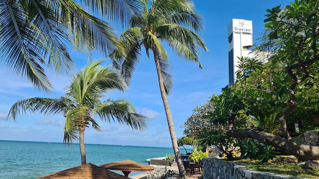 Pattaya Beach with turquoise waters and swaying coconut palms along the shore